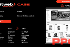 Foodex's PPC Strategy for Polish Market Domination